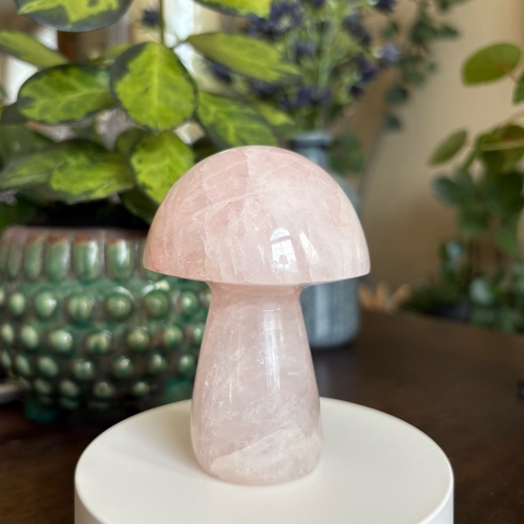 Discounted* Large Rose Quartz Crystal Mushroom Carving with Imperfection - Picture 12 of 13
